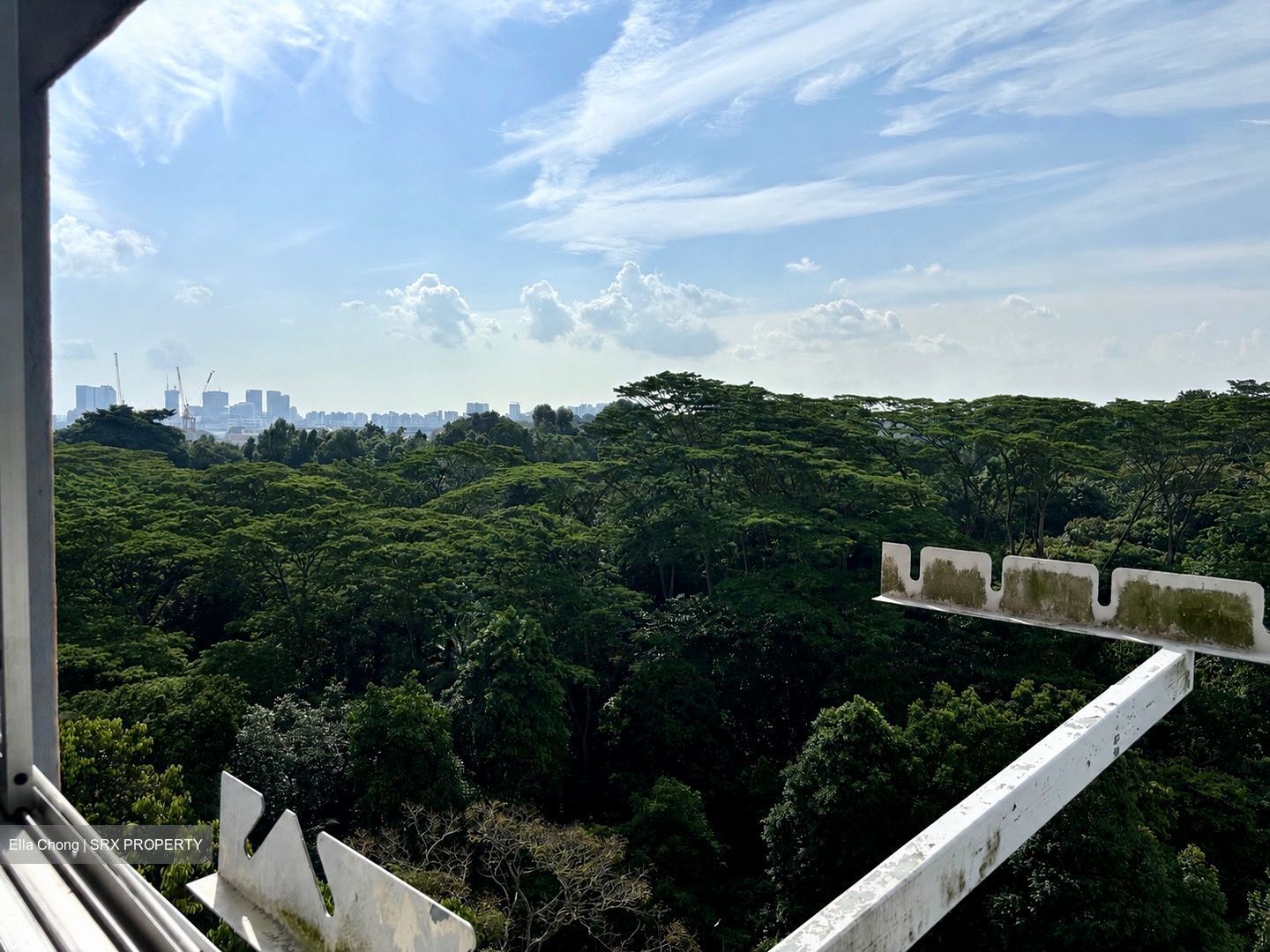 Blk 117 Sunset Way Residence (Clementi), HDB 4 Rooms #596391091